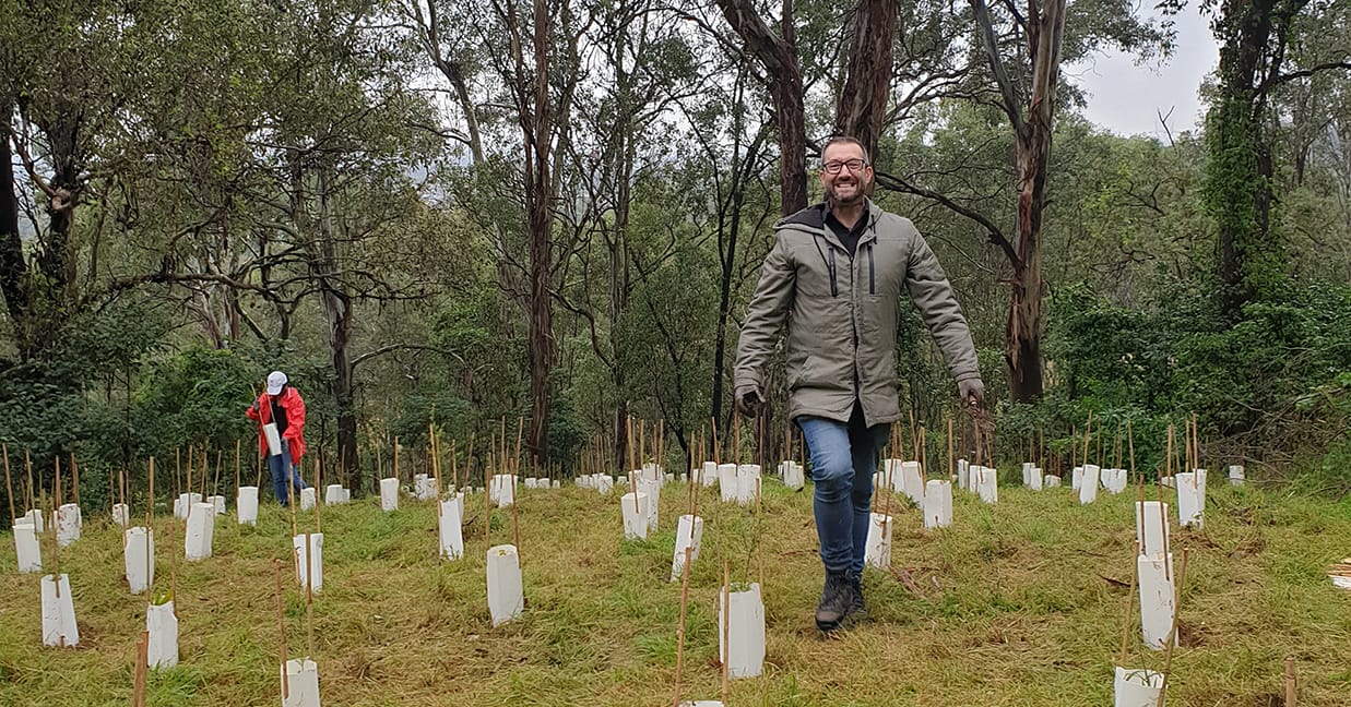 Man wearing jacket and gloves walking among newly planted trees for Greening Australia