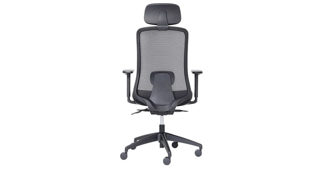 buro elan with arms and headrest