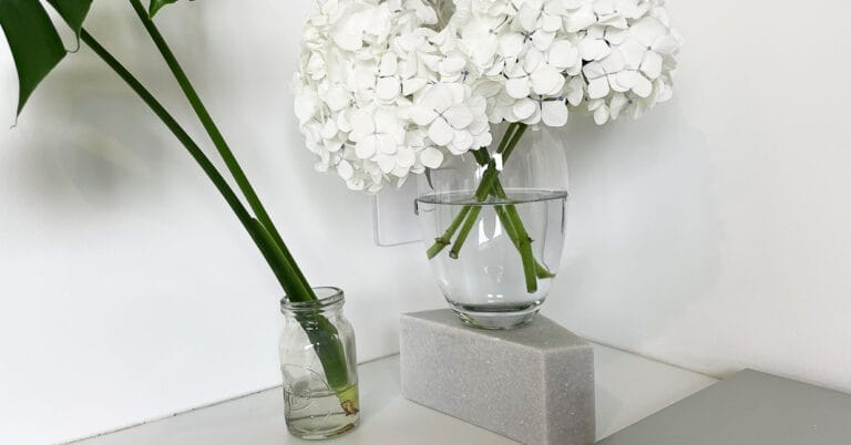 tidy work desk with plants